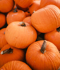 Detail of pile of pumpkins for Halloween festivities, vertical