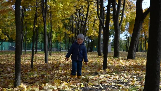 A little boy goes to the camera among the yellow trees in the autumn park. Video.
