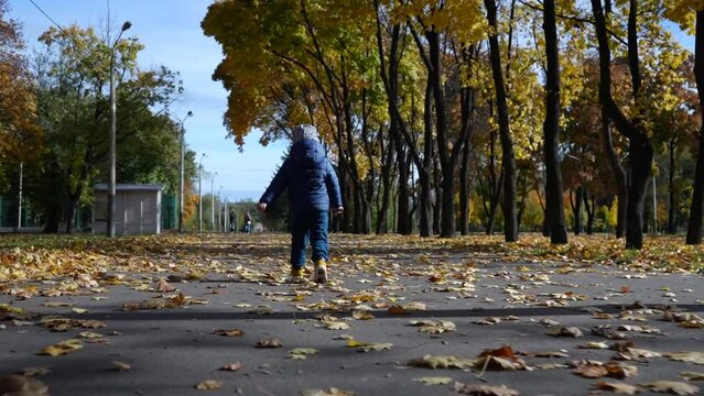 A little boy runs away from the camera along the road along the yellow trees in the autumn park. Video behind. Close-up