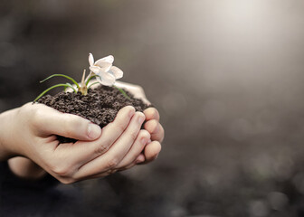 Text Save our planet. Earth day. child hands hold white flower growing from ground. Ecology concept.