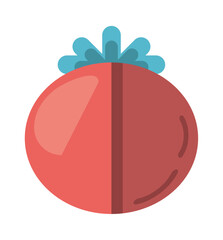 fresh tomato vegetable