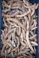 Dried white bean pods as nice textured background. Ecological product, concept of good harvest