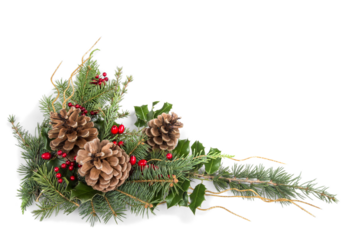 Christmas symbol, decoration of fir branches and cones isolated on white background