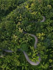High angle view of the road in the middle of the forest