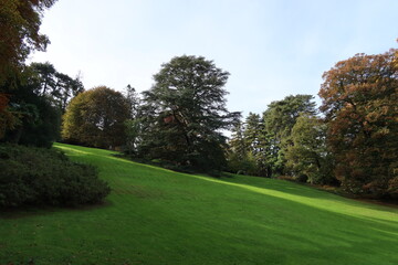 english garden with trees