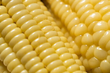 Close-up of cooked corn kernels