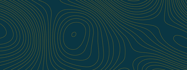 Fototapeta na wymiar The stylized blue abstract topographic map with lines and circles background. Topographic map and place for texture. Topographic gradient linear background with copy space. Vector illustration.