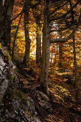 Mala Fatra Rozsutec mountains landscape
