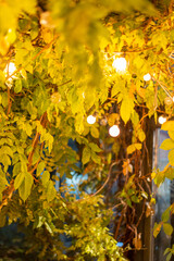 Romantic Dreamy Rooftop Night Party Light Strings