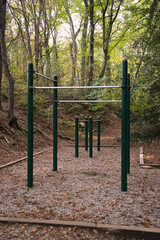 Outdoor pullup bar, in a forest near Annecy