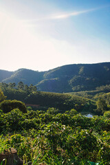 Obraz premium Landscape with trees and clouds - Serra Negra, São Paulo, Brazil.