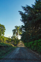 road in the countryside