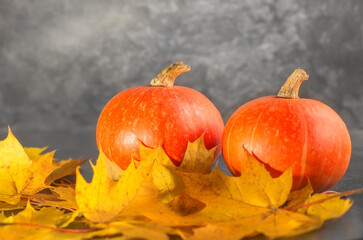 Two orange pumpkins on a dark background with yellow maple leaves. Halloween.