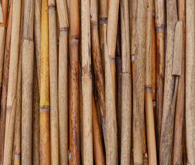 A pile of dry yellow reeds.