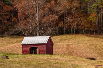Fototapeta premium fall in the mountains