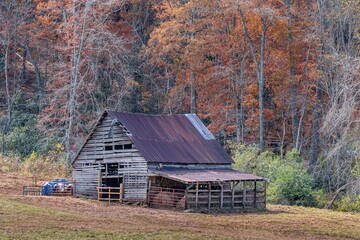 Obraz premium fall in the mountains