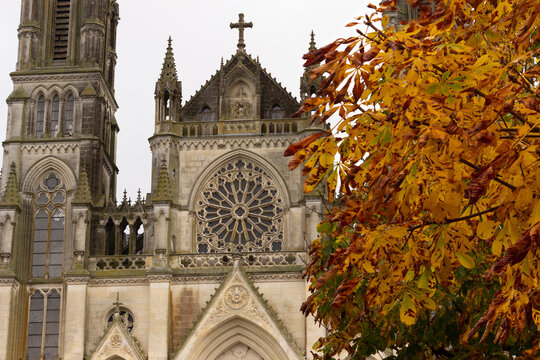 Autumn leaves at Sanctuaire Notre-Dame de Montligeon in the Perche region of Orne, Normandy, France