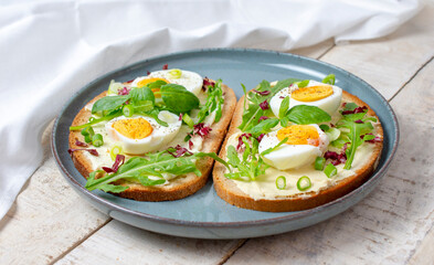 Boiled egg on bread with arugula, basil and pumpkin seeds cream in plate. Healthy food, keto diet, diet lunch concept.