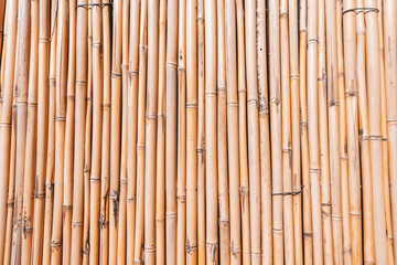 beautiful yellow bamboo wall. Natural texture