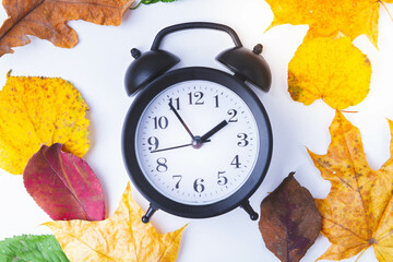 Alarm clock on white background and autumn leaves of different colors.