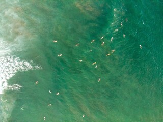 Aerial view of people on boards swimming in the ocean in Bali, Indonesia