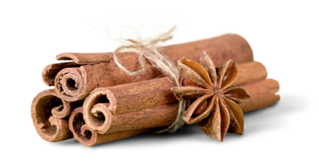 Anice and cinnamon sticks on background