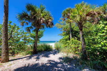 Palm trees in beautiful tropical beach in paradise island in Florida Keys. Summer vacation and tropical beach concept.