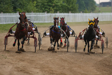 Horses and riders running at horse races
