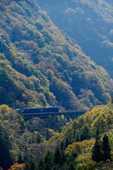 中央本線の貨物列車