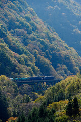 中央本線の貨物列車