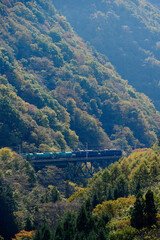 中央本線の貨物列車