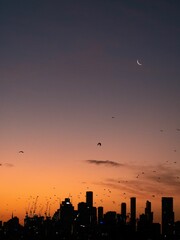 Silhouette of skyline against an orange sunset sky