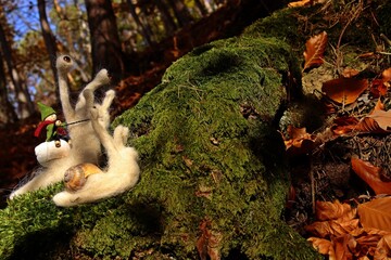 Filzwichtel reitet auf Filzschnecke durch den Wald.