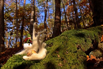 Filzwichtel reitet auf Filzschnecke durch den Wald. - obrazy, fototapety, plakaty
