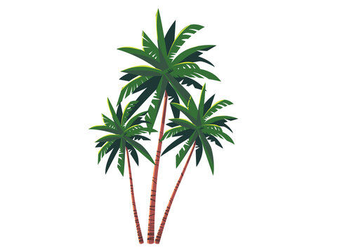 Green tropical palm trees illustration on a white background. Flat design. Three trees coloured in vibrant colours..