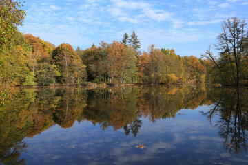 The Mühlenteich (mill pond) at Dammsmühle Castle in autumn, federal state of Brandenburg - Germany

