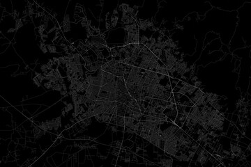 Stylized map of the streets of Leon (Mexico) made with white lines on black background. Top view. 3d render, illustration