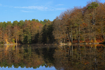The Mühlenteich (mill pond) at Dammsmühle Castle in autumn, federal state of Brandenburg - Germany

