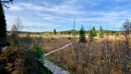 Herbst - Impressionen vom Hohen Venn