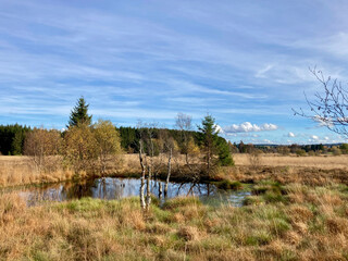 Herbst - Impressionen vom Hohen Venn