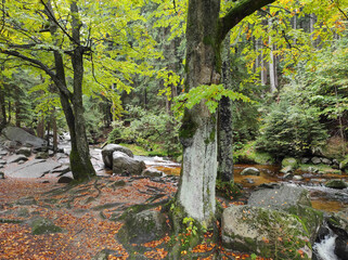kamienna river in autumn. karkonosze national park. szklarska poreba, poland © Svitlana