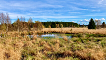 Herbst - Impressionen vom Hohen Venn