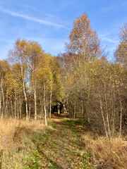 Herbst - Impressionen vom Hohen Venn