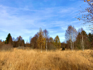 Herbst - Impressionen vom Hohen Venn