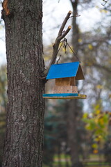 Bird feeder on a tree.	