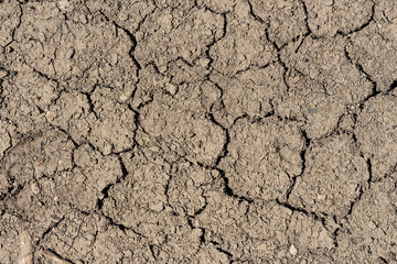 Detalle de tierra seca y agrietada por la sequia