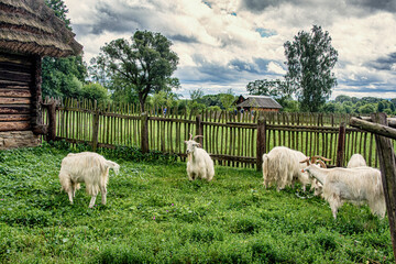 Bieszczadzka wieś © Tomasz