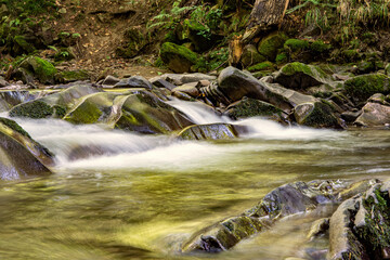 Bieszczady © Tomasz