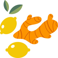 Ginger root  illustration