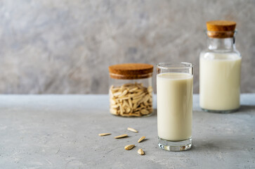 Sunflower milk in a glass and bottle, raw seeds on concrete grey background with copy space